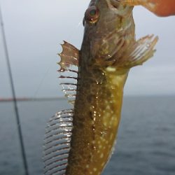 初めての船釣り