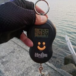 春イカ最終釣行  ２日目