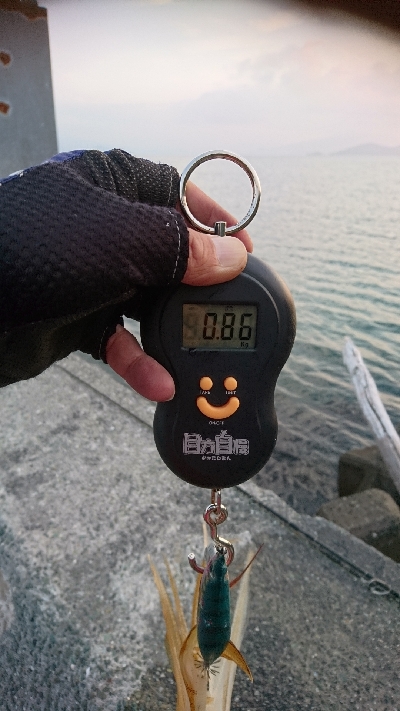 春イカ最終釣行  ２日目