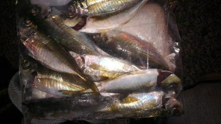 リベンジアジング！