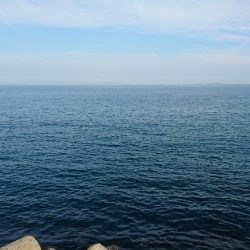 雨のあとも濁りなくチヌとキス