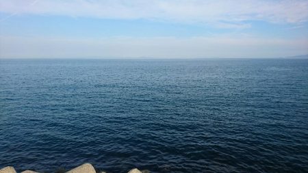 雨のあとも濁りなくチヌとキス