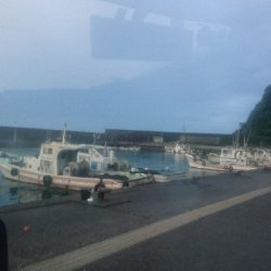 春野漁港 ライトショアジギング