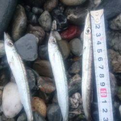 仁淀川河口周辺サーフ ライトショアジギング