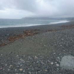 仁淀川河口周辺サーフライトショアジギング