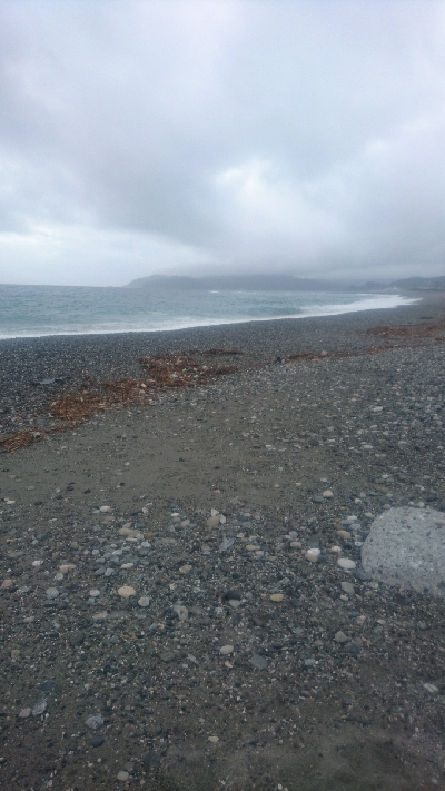 仁淀川河口周辺サーフライトショアジギング