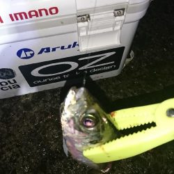 ライトゲーム！