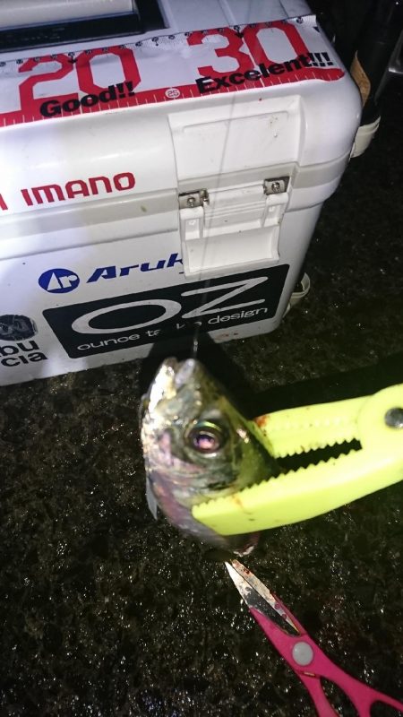 ライトゲーム！