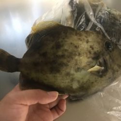 さかむらいかだで筏釣り