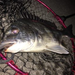 夜明け前から日没後まで