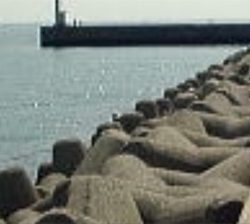 アオリイカを求めて(^。^)