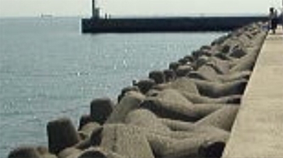 アオリイカを求めて(^。^)