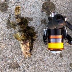 サイズが‥‥‥。