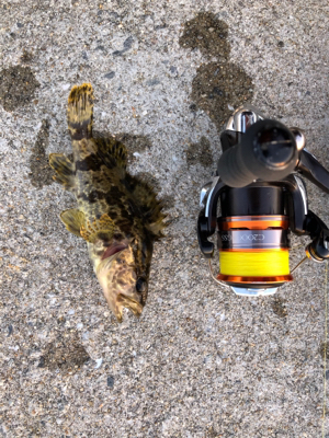 サイズが‥‥‥。