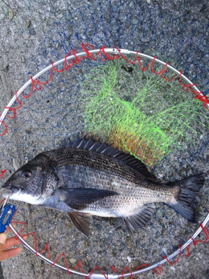 スケスケな状態かなり渋い！