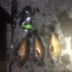 フィーバータイムになったが…