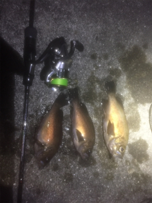 フィーバータイムになったが…