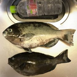 夜釣りでストレス発散