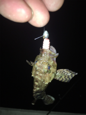 和歌山五目ゲーム