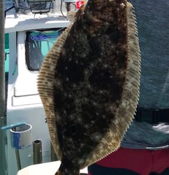 タイラバ スロジギ