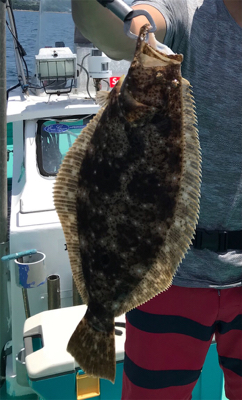 タイラバ スロジギ