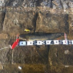 デイナマズゲーム2