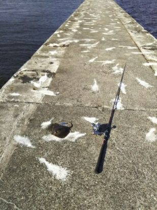 ジグでアカエイ3,4,5,6