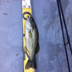 梅雨入り前の晴天釣行