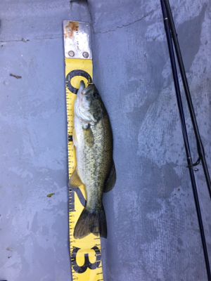 梅雨入り前の晴天釣行