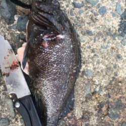 グループ釣行（22時間釣り）