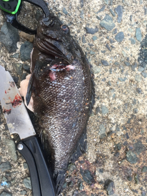 グループ釣行（22時間釣り）