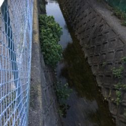 仕事終わりにドシャローエリアで