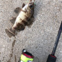 男鹿半島ライトゲーム