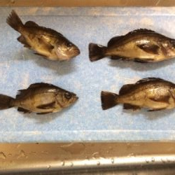 風も強く！結構シブかった！