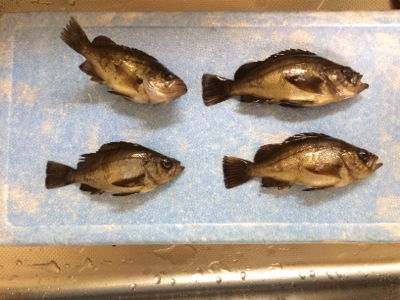 風も強く！結構シブかった！