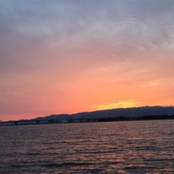 メタルバイブでキビレ