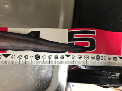 げき渋の中意外な訪問客。。