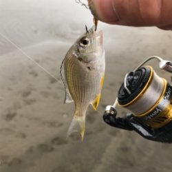 河口ライトゲーム