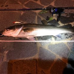 自己ベスト更新!