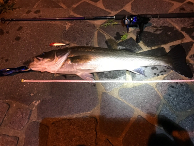 自己ベスト更新!