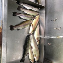 リヴァスポット早戸