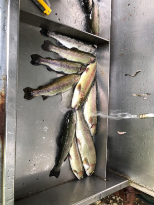 リヴァスポット早戸