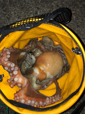 オクトパッシング