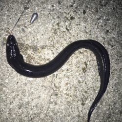 キスいた！！！！