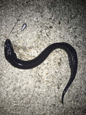 キスいた！！！！