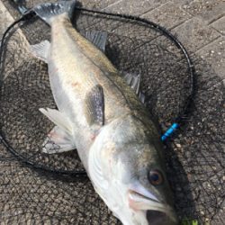 徹夜回避の朝から3本