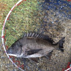 バイトラッシュ！