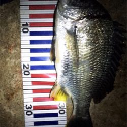 ライトゲーム！