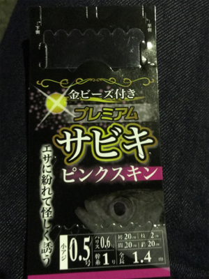 豆アジ 夜サビキ