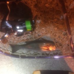 サイトバッチング